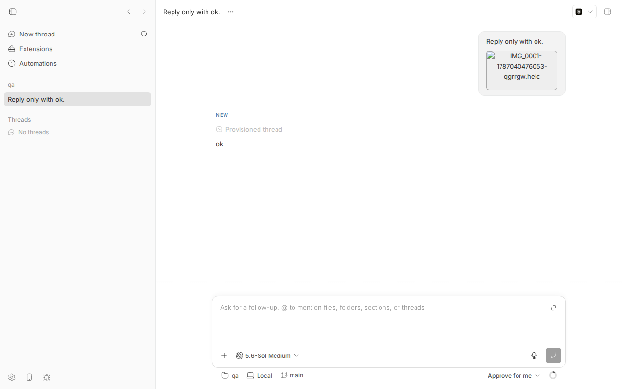 chat history shows broken image for heic