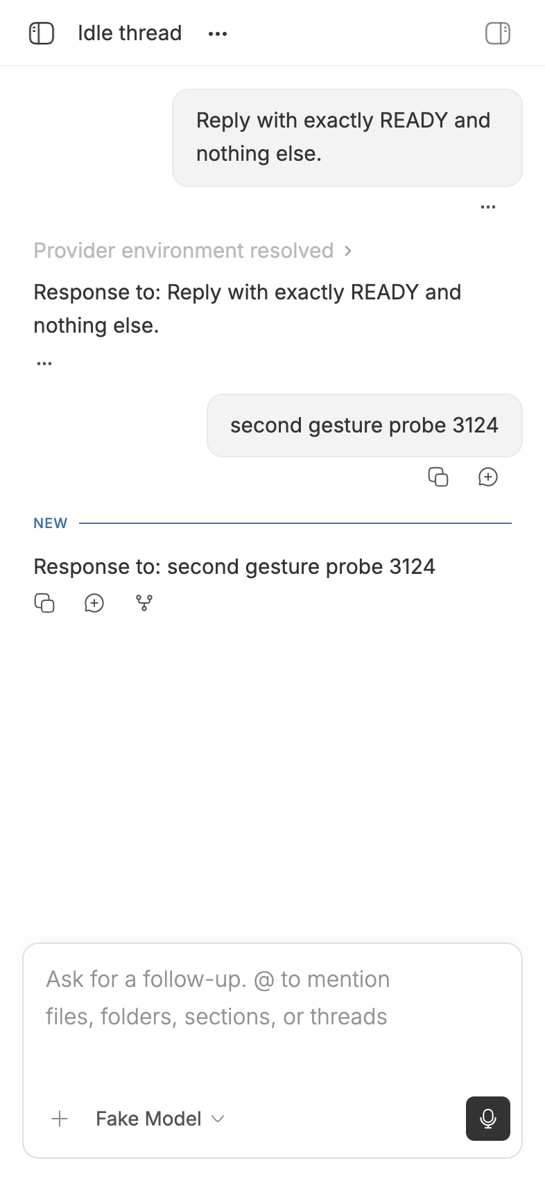 Second clean checkout showing the user message and provider echo after one touch