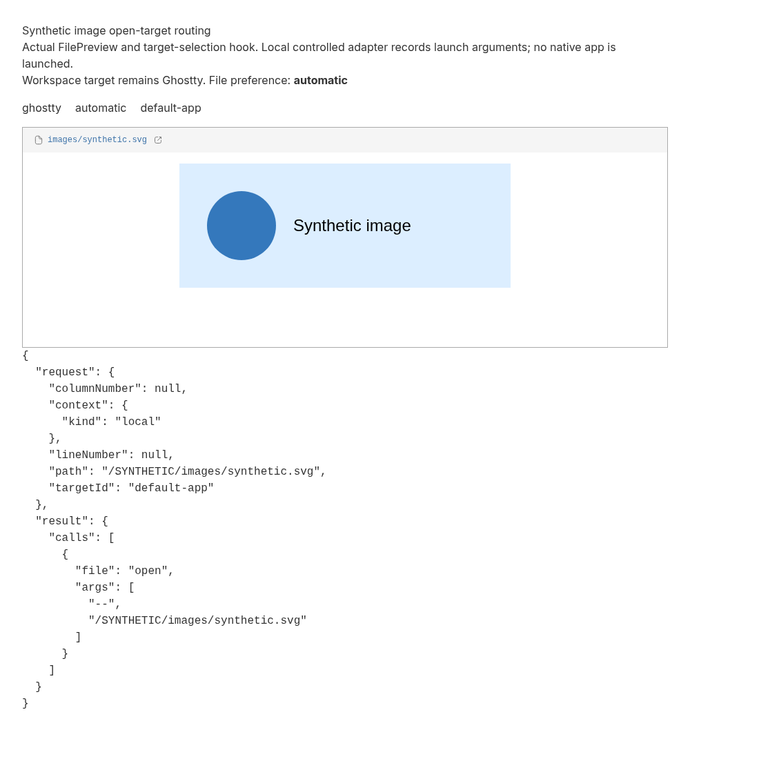 Actual second Chromium screenshot with automatic file preference and recorded invocation